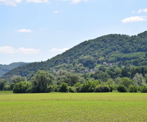 okolica doma upokojencev Brežice