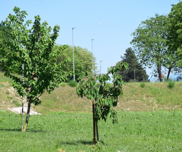 okolica doma upokojencev Brežice