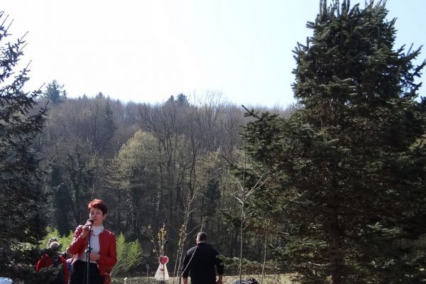 Sadimo drevesa za nove začetke - program