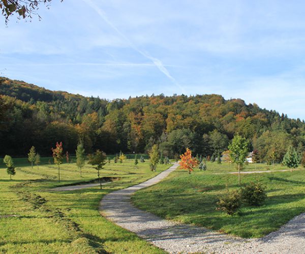 Skrb za zelene površine