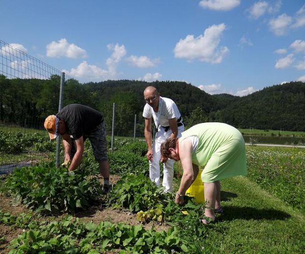 Hortikulturna terapija