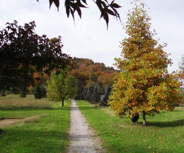 Park DUO Impoljca